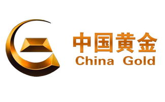 炒黃金投資管理的三大核心方法 科學規劃、風險控制與靈活策略